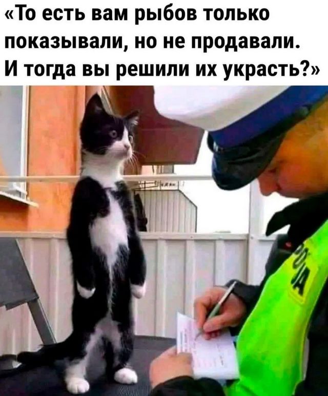 Завалялось тут случайно немного забавных картинок