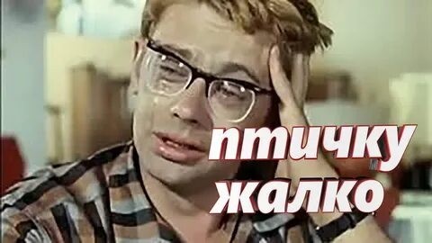 Про попугаев
