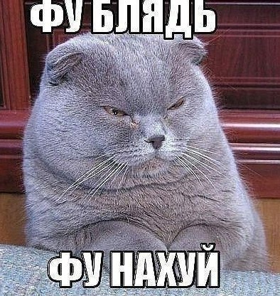 Тарелочница