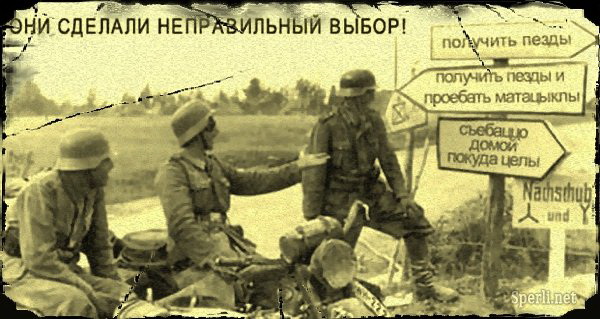 Пора деградировать. Дичь