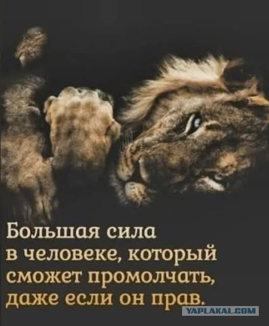 Так себе картинки 02.10.25