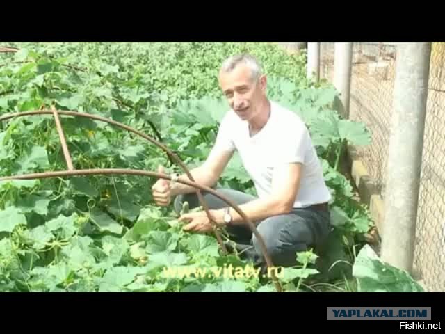 Народное средство