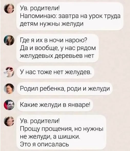 Картиночки, баянчики 27 декабря