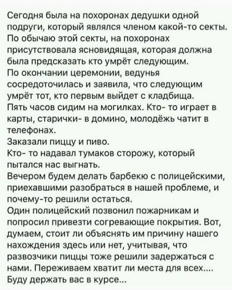 Мой кот