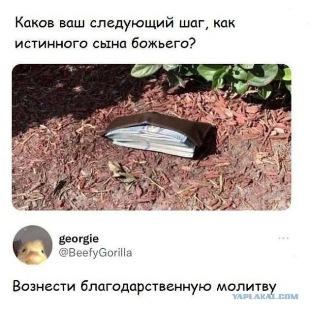 Всякой Хни вам в ленту, дорогие деграданты