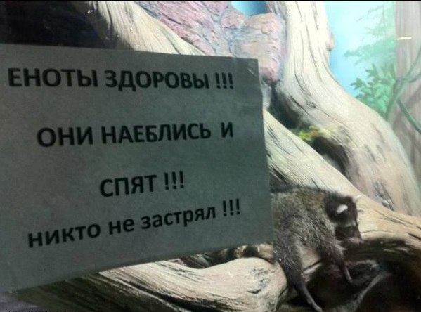 Картинки для деградации 151 (разной степени свежести)