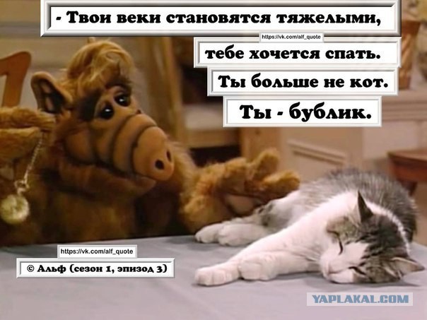 Альф