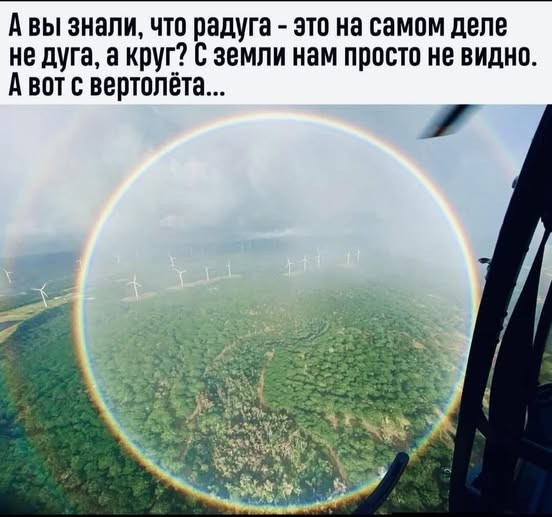 Картинки. Баяны и аккордеоны