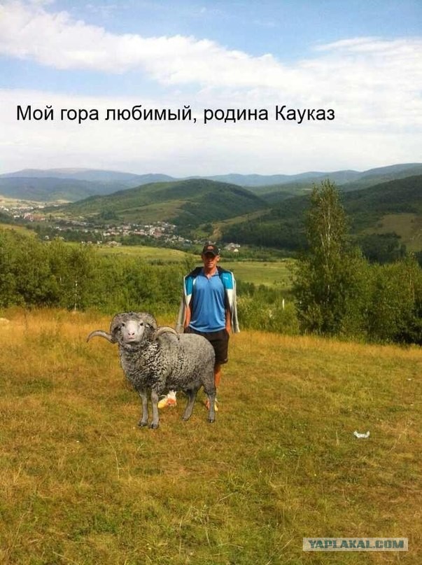 Гуцульские Карпаты
