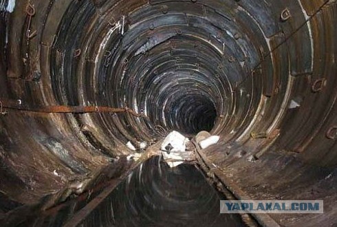 Полячка намерена переспать с 100 тыс мужчин