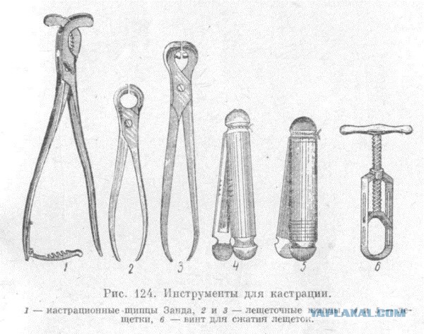 Самые ужасающие медицинские инструменты прошлого