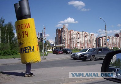 Пингвины переходят дорогу в Сургуте