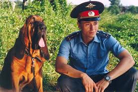 Кем бы они не снимались....