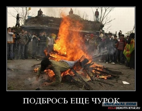 Смешные картинки