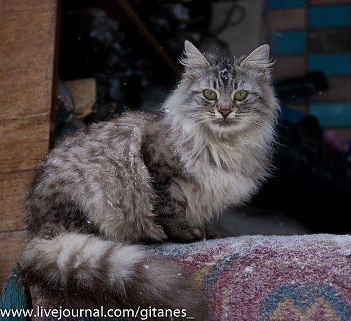 Ах, Одесса - жемчужина у моря!