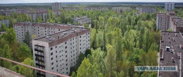 Состояние города Припять в 2014 году
