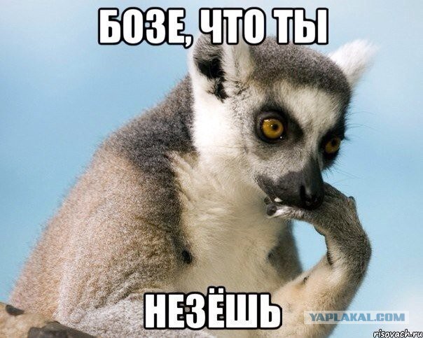 Импровизация, бачата