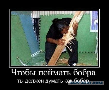Когда вы плюсуeтe тему в платине