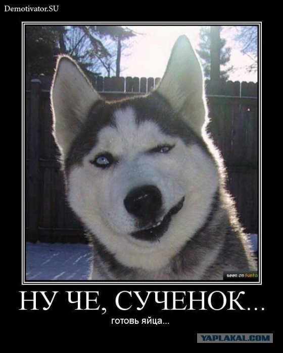 Яценюк подал в отставку.