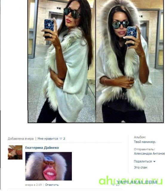 Смешные комментарии из социальных сетей #2