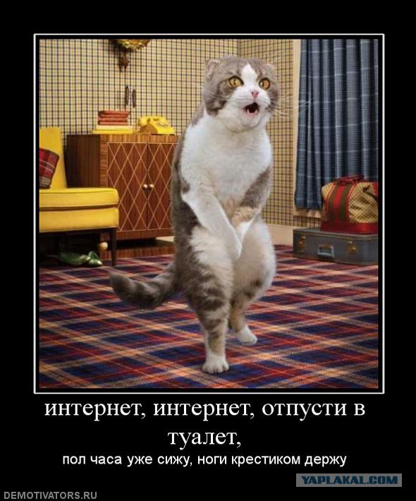 Чёрт, чёрт, чёрт!