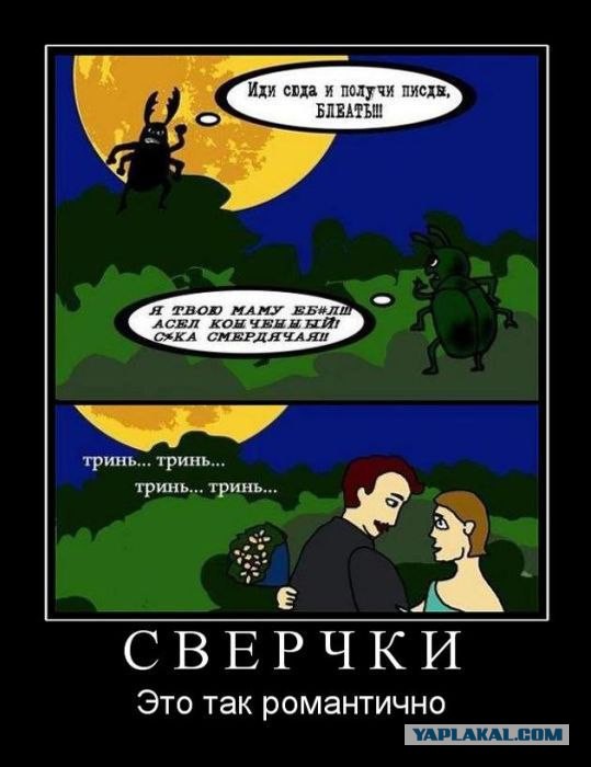 Картинки, вроде смешные.