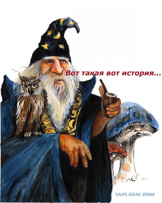 Находчивости пост...