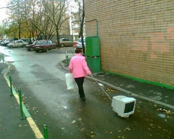 Весёлые картинки