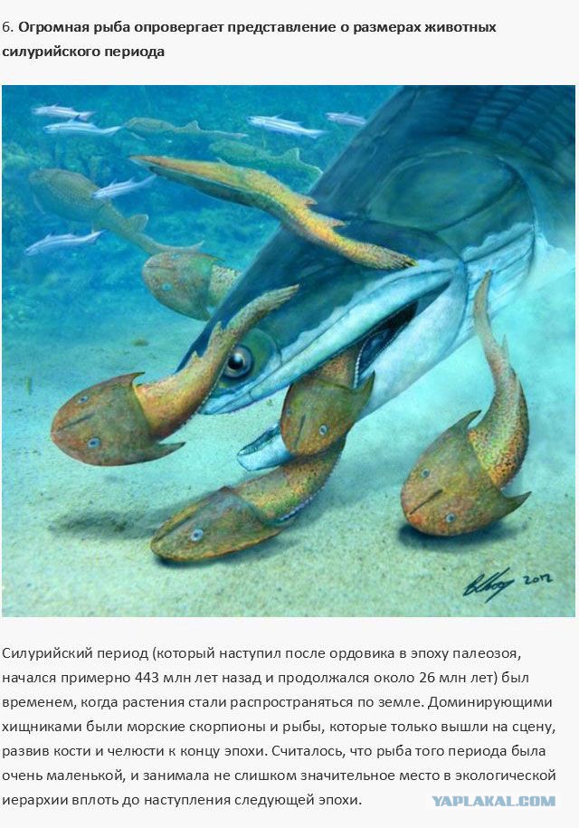 20 фактов обо всем