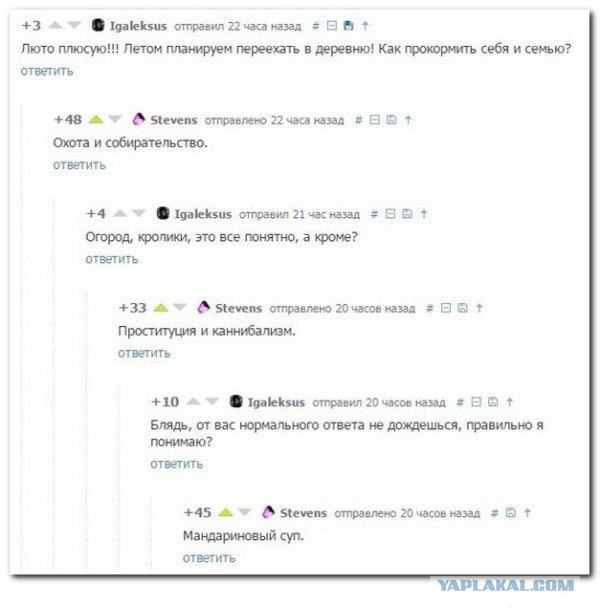 Смешные комментарии из соц сетей