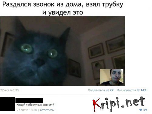 Ужасы и приколы из соцсетей 18+