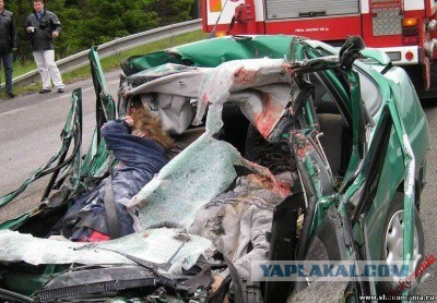 Дочери Курганского депутата автоподставщицы