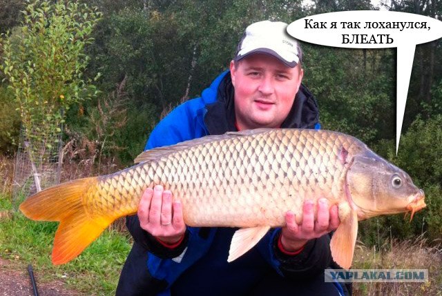 Иди, рыбачь