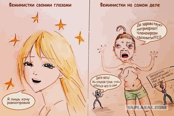 Не спасайте феминисток