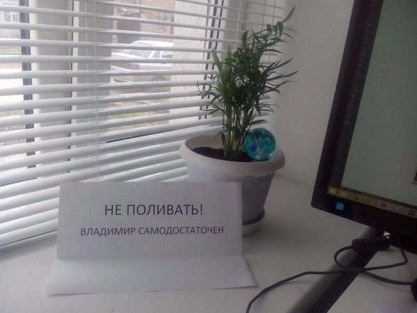 Картинки на пятницу