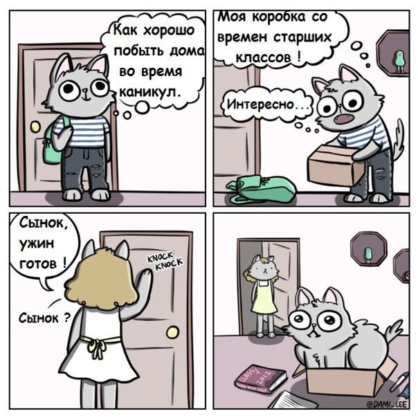 Котовторник 01.12.2015