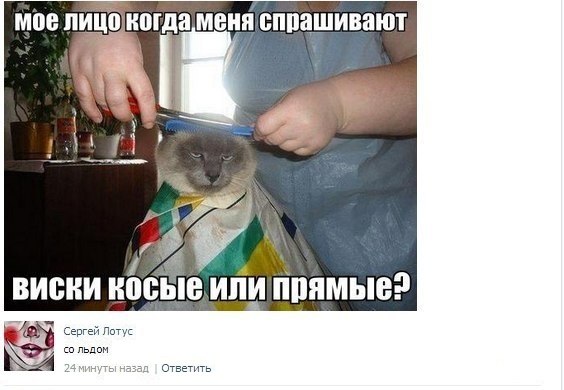Подборка прикольных фото на пятницу
