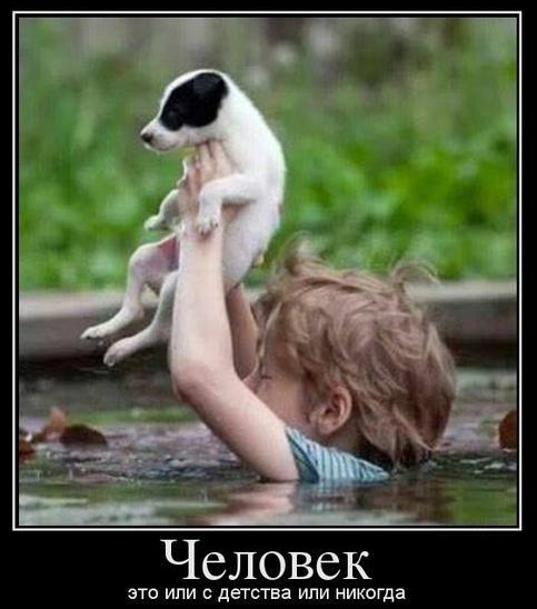Отовсюду понемногу