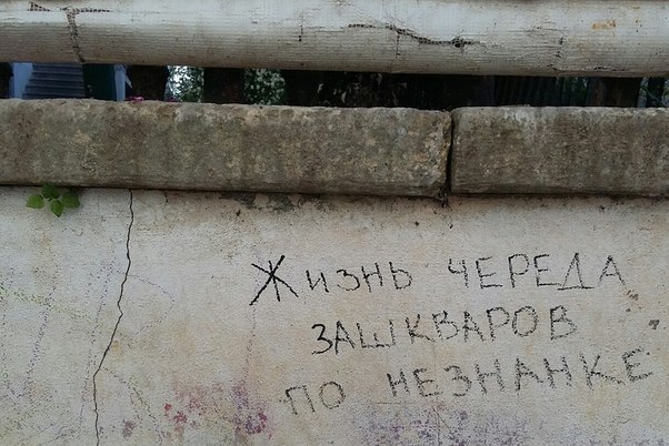 Ужасы и приколы из соцсетей 18+