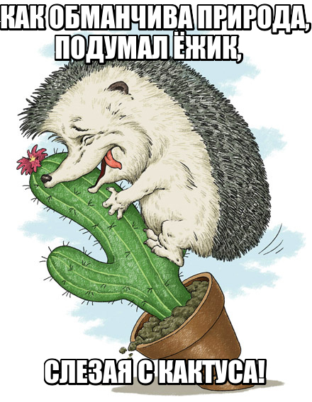 Подборка картинок из сети