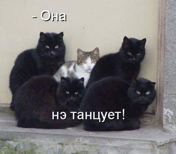 Веселые картинки