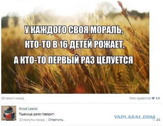 Комментарии, подписи, текстовые приколы
