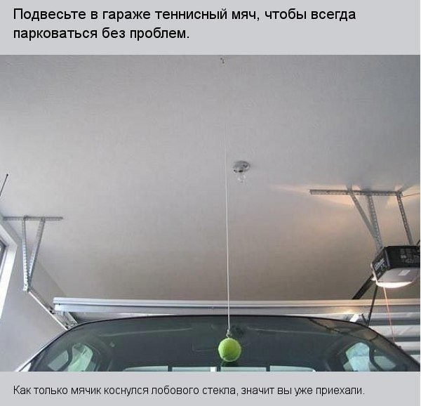 Подборка интересных и веселых картинок