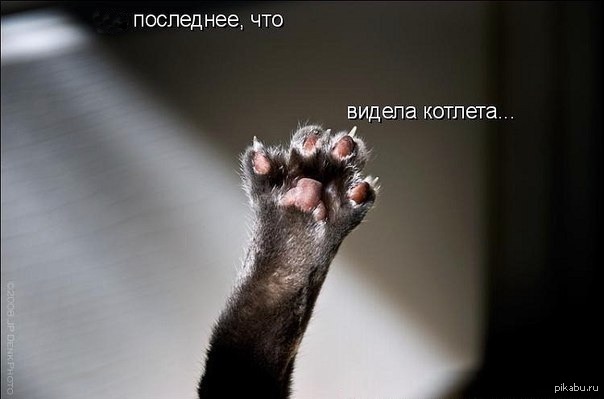 Котлета