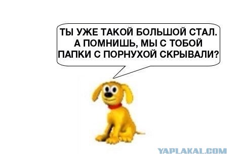 Картинки и приколы из сети