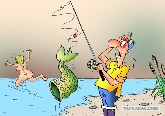 На американский берег выбросило русалку