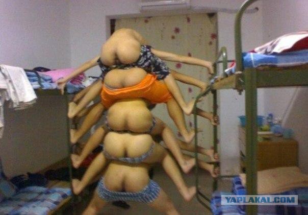 Ужасы и приколы из соцсетей 18+