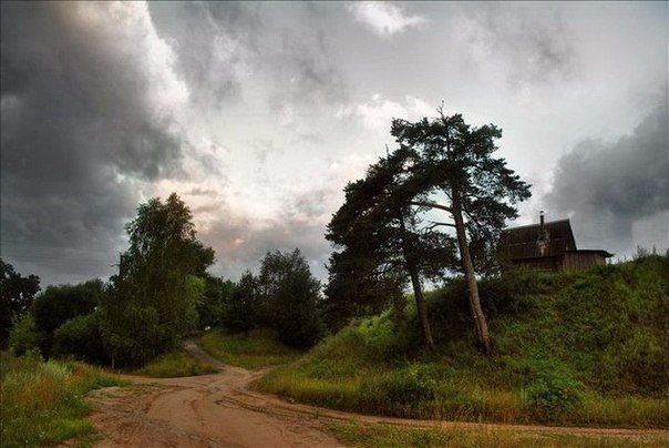 Моменты, запечатлённые на фото и просто позитив 5