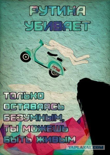 Смешные комментарии из социальных сетей 23.12.2016