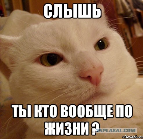 Wargaming 43